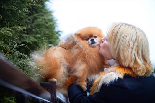A mature woman lovingly kisses her Pomeranian while enjoying a winter stroll in a snowy area surrounded by greenery.