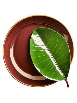 Rubber plant leaf, burgundy purple with glossy surface, floating above minimalist ceramic dish, professional product photography
