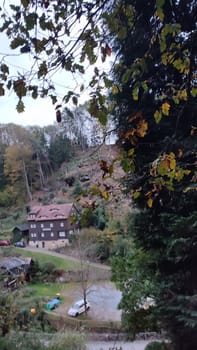 Forest hillside house hotel apartment wooden nature travel background landscape summer day park green autumn shotlisttravel forest . High quality photo