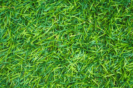 artificial lawn background with green grass texture close-up