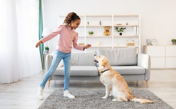 Dog Training Commands Concept. Positive black girl teaching pet at home in living room, playing with golden retriever and rewarding him with treats, standing indoors and giving animal food