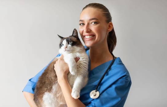 Portrait Of Happy Veterinarian Doctor Woman Holding A Cat, Posing With Healthy Feline Patient Over Gray Studio Background, Smiling At Camera. Pet Health Care And Routine Check Up Concept