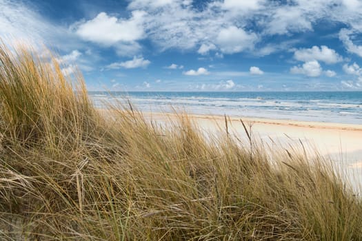 View over the dunes on the island of Usedom to the Baltic Sea. Dune grass and white sand. Nature photo