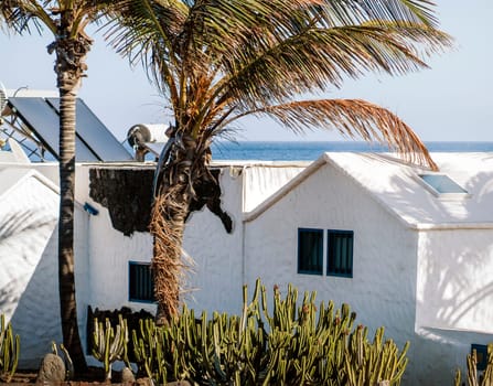 White cozy cute houses among tropical plants and palm trees on the Atlantic coast on a sunny day, a holiday in a warm climate and in a stylish village on the islands.
