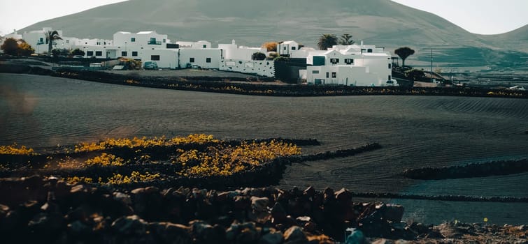Scenic view with beautiful black volcanic soil, lava rock formations on which vineyards are cultivated to create a special wine. White houses with farmland on the island of Lanzarote, Canary Islands.