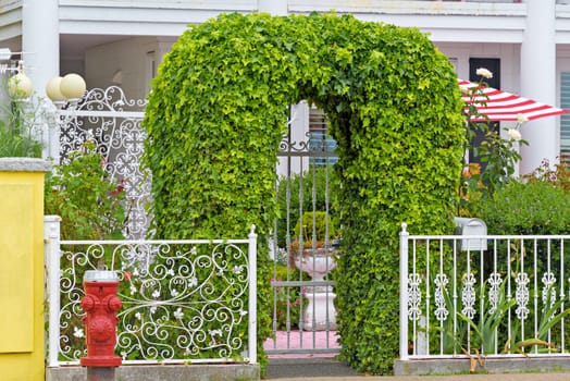 Patterned forged fence with green ivy arch in front of residential house in White Rock city