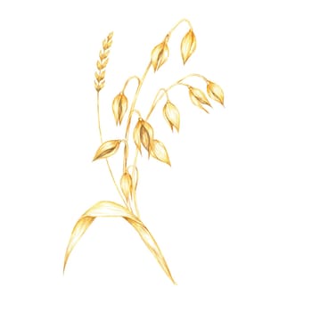 Oat stem with golden-yellow grains and a single leaf. Cereal and herbs watercolor clipart. Ideal for use in organic product branding, farm-to-table restaurant menus, or nature-inspired stationery