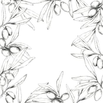 Square wreath composed of interwoven olive branches, olives, and leaves. Pencil drawing frame clipart for packaging designs for olive oils, artisanal soaps, and eco-friendly cosmetics