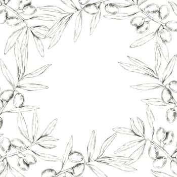 Square wreath made up of olive branches, complete with olives and leaves. Pencil drawing frame clipart for use in packaging design for Mediterranean food, oils, skincare products, and artisanal soaps