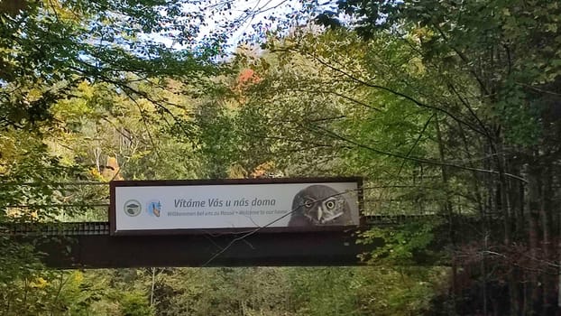 October 17 2024 Hrensko Czech Republic Europe Forest road bridge shotlisttravel . High quality photo