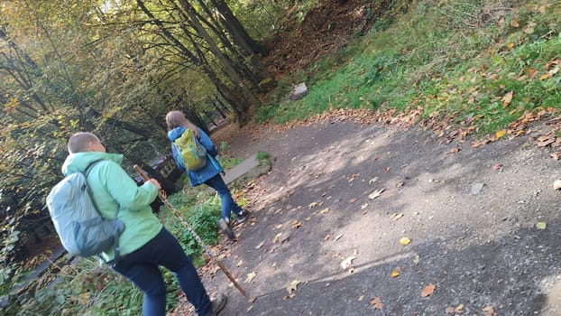 October 17 2024 Hrensko Czech Republic Europe Hikers forest path people travel tourists tourism summer day park shotlisttravel nature reserve road green . High quality photo