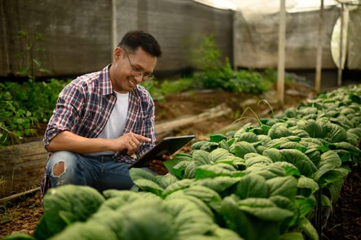 Smiling farmer kneels in a greenhouse while using digital tablet to monitor crop growth.