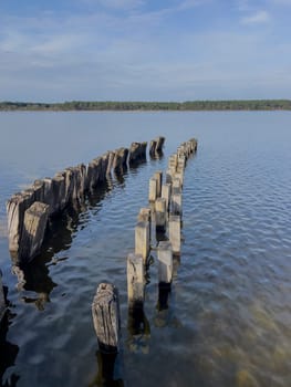 Weathered wooden pilings create a striking pattern in the tranquil waters of Lac Sanguinet, framed by lush greenery and a bright blue sky, inviting visitors to explore the natural beauty.