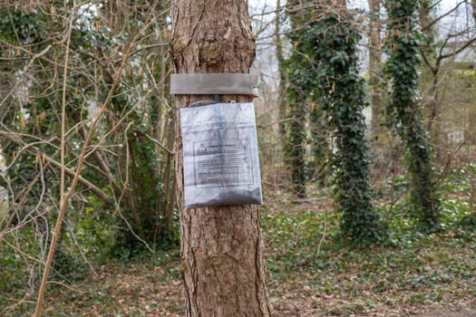 Ecological trap for processionary caterpillars on pine trunk in France - Collar around a pine tree to protect trees from dangerous insects reaching the ground trapping them in the plastic bags.
