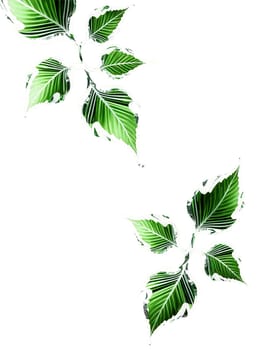 Silver vine leaf, metallic pattern green, floating motion, crystal clear detail, studio photography