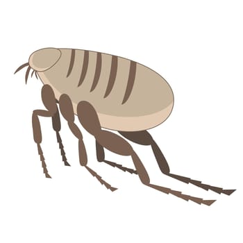 Detailed illustration of a flea with distinctive body structure and legs.