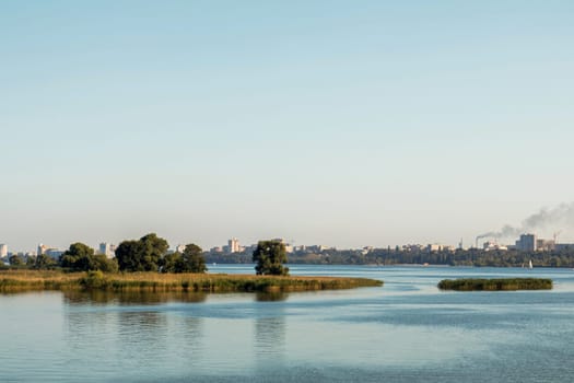 Lush vegetation growing on islets in the middle of a river with a cityscape in the distance under a clear sky