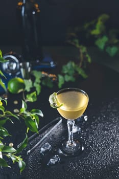 Refreshing cocktail served in a stemmed glass, garnished with a citrus twist, sits on a dark, wet bar top amidst ice and leafy greens