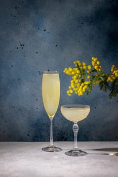 Two glasses of mimosa cocktail are garnished with mimosa flowers on a gray table against a blue background, celebrating the arrival of spring