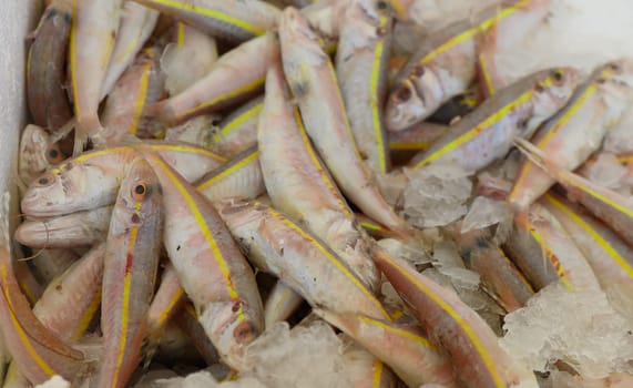 Vibrant fish with striking yellow stripes rest atop a bed of crushed ice in a lively market. The atmosphere buzzes with vendors and customers, signaling the start of a busy day.