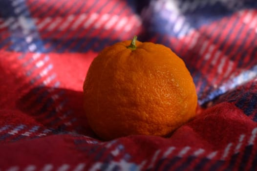 A bright orange sits quietly on a warm plaid blanket, basking in gentle sunlight, evoking a sense of comfort.