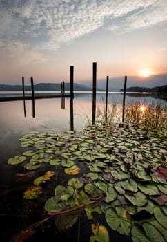 The colorful sunrise shines over the calm lake and lily pads on Chatcolet Lake near Plummer, Idaho.