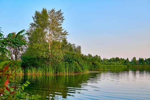 the activity of catching fish, either for food or as a sport