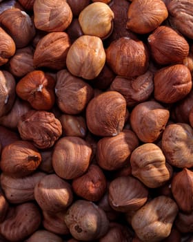 A detailed close-up of whole hazelnuts in their shells, showcasing their natural texture and warm brown tones. Perfect for food backgrounds and nut-related themes