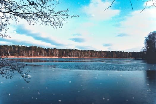 A frozen lake with snowflakes in the foreground, surrounded by a wintry forest under a blue sky. Atmospheric nature shot in cold colors.