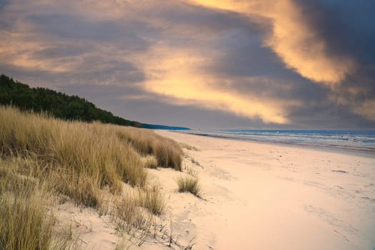 View over the dunes on the island of Usedom to the Baltic Sea. Dune grass and white sand. Nature photo