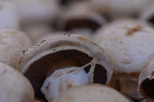 In a vibrant market setting, an assortment of freshly harvested mushrooms fills the air with earthy aromas, captivating passersby and inspiring culinary creativity.