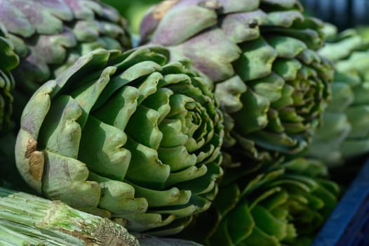 Bright green artichokes are arranged in an inviting manner at a bustling farmers market. The natural sunlight enhances their lush texture, enticing visitors as they explore fresh produce.