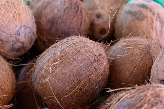 Fresh coconuts piled high at a lively market exude earthy textures and rustic beauty. Sunlight dances off their rough surfaces, creating a warm, inviting atmosphere.