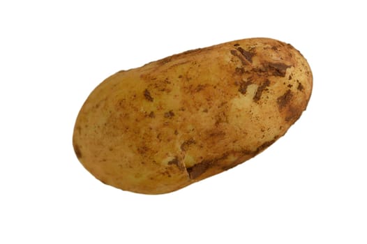 A rustic potato, covered in earthy soil, reveals its natural form while highlighting organic farming practices.