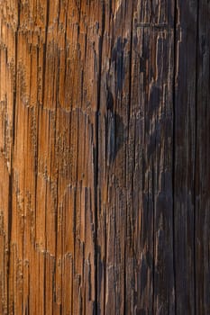 Sunlight glints off a weathered wooden pole, highlighting its intricate textures and colors at dusk, evoking serenity.