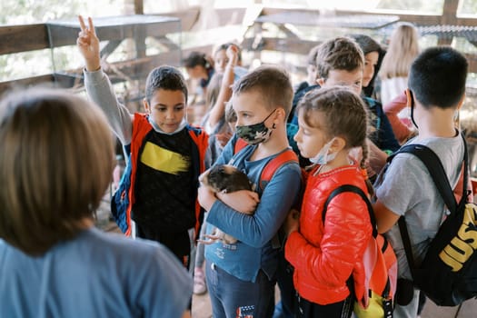 Children in protective masks look at a colorful guinea pig while standing in a gazebo. High quality photo
