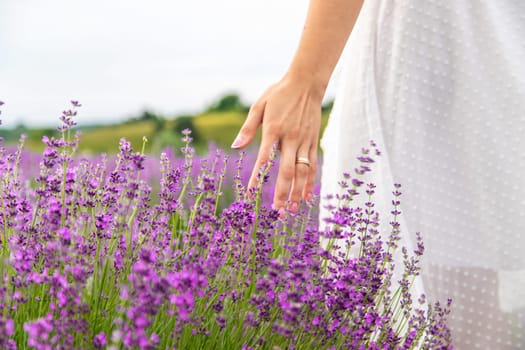 Woman's hand gently touching lavender flowers