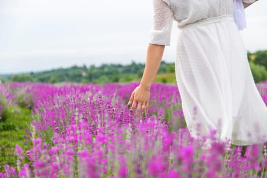 Woman's hand gently touching lavender flowers