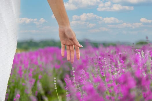 Woman's hand gently touching lavender flowers