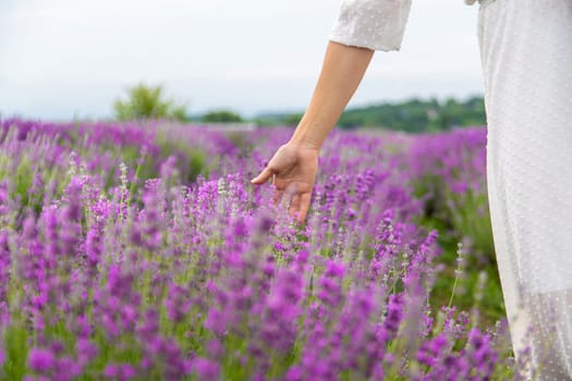 Woman's hand gently touching lavender flowers