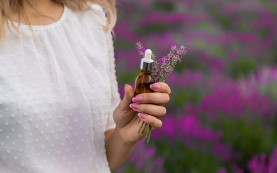 Woman in lavender field holding essential oil in her hands