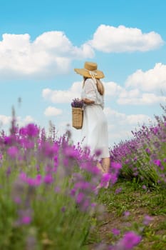 Woman lavender field. Happy carefree woman in white dress walking through lavender field