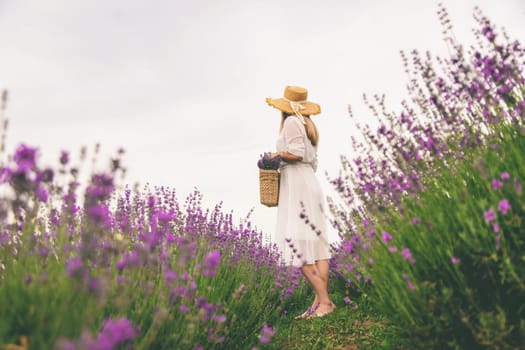 Woman lavender field. Happy carefree woman in white dress walking through lavender field