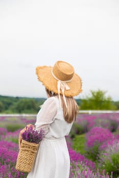 Woman lavender field. Happy carefree woman in white dress walking through lavender field
