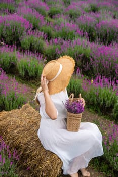 Woman lavender field. Happy carefree woman in white dress walking through lavender field