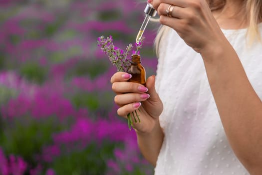 Woman in lavender field holding essential oil in her hands