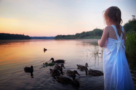 A little girl in white sundress feeds ducks in the water of a river or lake at sunset