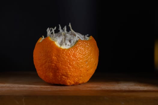 An intriguing sight of a mottled orange with a dried, furry interior resting on a rustic wooden surface.
