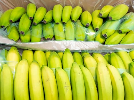 Fresh green bananas in cardboard box ready for shipping.
