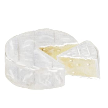 Camembert or brie cheese watercolor drawing. Hand drawn illustration of dairy cream product of French cuisine. Clip art of food on white background. Ideal for packaging of farm organic product or restaurant menu design. High quality illustration